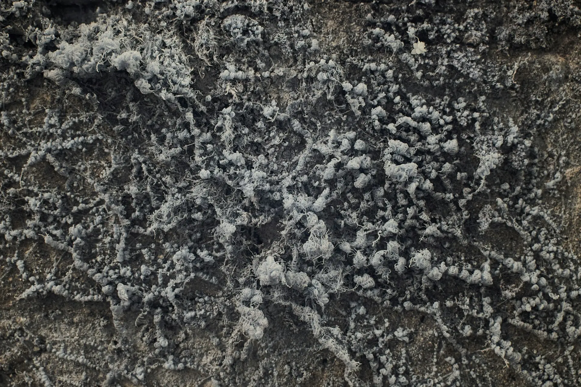 black and white abstract painting